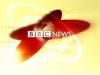BBC news.jpg